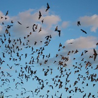 Дмитрий Костылев