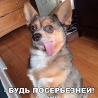 Ольга Кузнецова