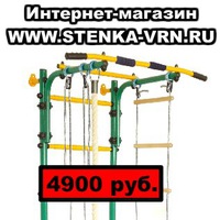 turnik_3v1_voronezh