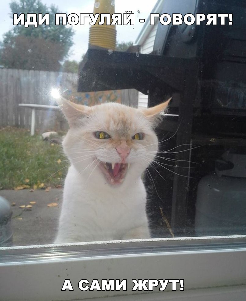 Кафе  "У пани Сони"