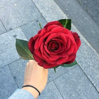 Милена Квелашвили