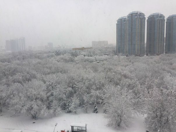 Здравствуйте! Cдам комнату в студии. В 5 минутах пешком от станции метро Славянский бульвар (Кутузовский). <br>Я живу один с недавних пор, друг переехал к девушке. Собственники живут в Дубае (адекватные). <br>Оплата 22500 плюс депозит 22500. Свободное перемещение по всей квартире. Я постоянно на работе, ухожу рано, прихожу поздно.<br>89629530694 смс<br> Марченко - фото Фото: Здравствуйте! Cдам комнату в студии. В 5 минутах пешком от станции метро Славянский бульвар (Кутузовский). <br>Я живу один с недавних пор, друг переехал к девушке. Собственники живут в Дубае (адекватные). <br>Оплата 22500 плюс депозит 22500. Свободное перемещение по всей квартире. Я постоянно на работе, ухожу рано, прихожу поздно.<br>89629530694 смс<br> Марченко