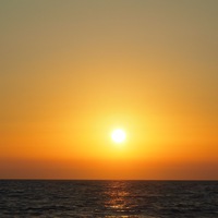 Виктория Елисеева