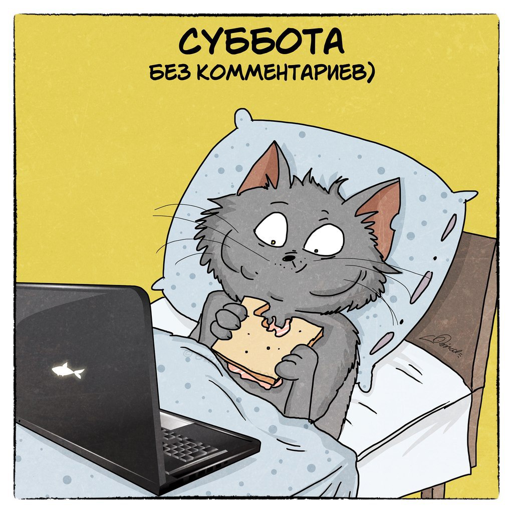 Ангелы картинки, доброе утро суббота картинки прикольные смешные для настроения