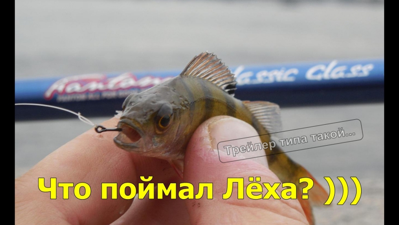 Что поймал Леха