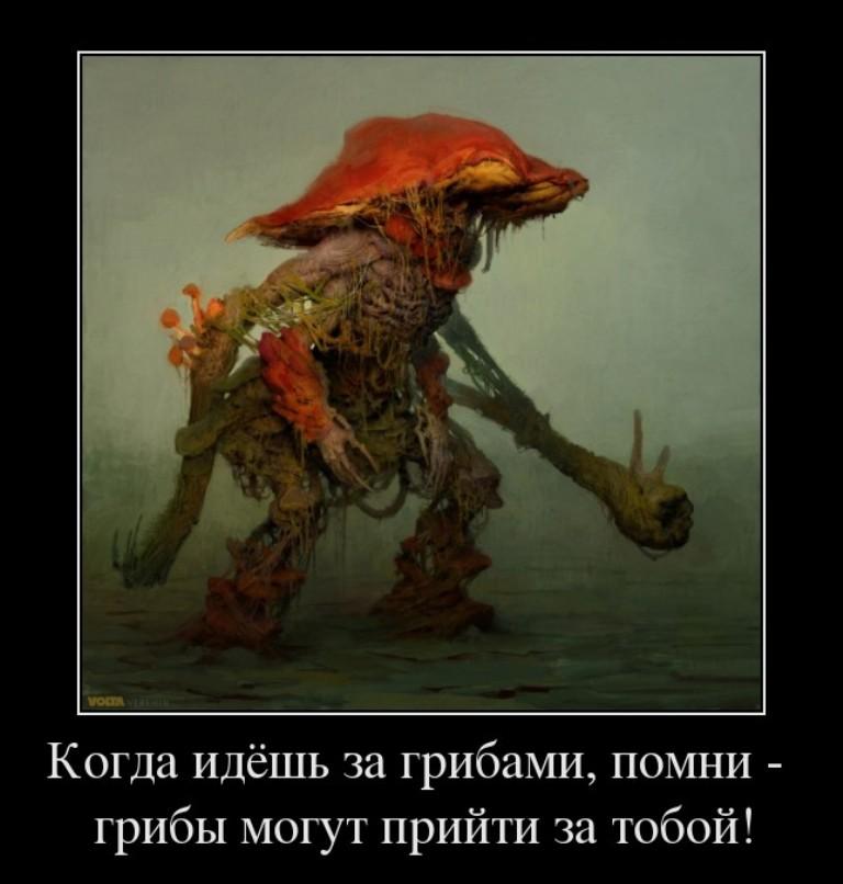 qVshKraMXDM.jpg