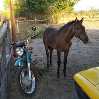 Евгений Лобода