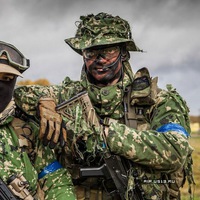 Зеленый Shadow