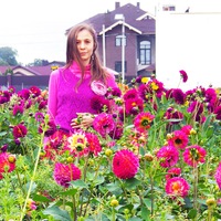 Танзиля Новая