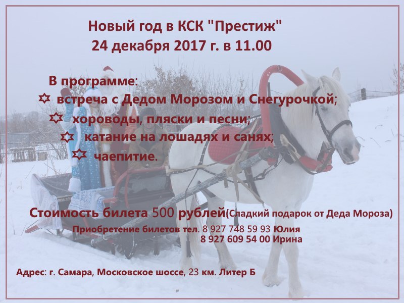 Афиша Самара Встреча Деда Мороза и Снегурочки в КСК "Престиж"