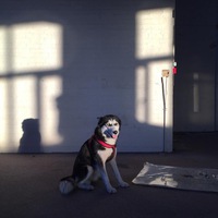 Галина Шайхутдинова | Холмск