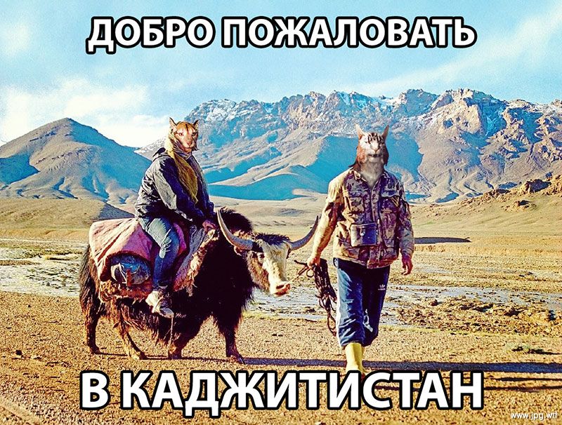 iCNgk3f_nRI.jpg