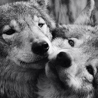 Ирина Иванченко