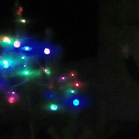 Кирилл Мингалеев