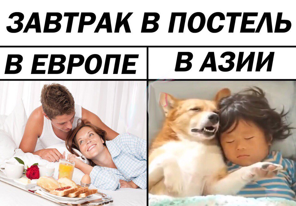 l-PDujCPaiw.jpg