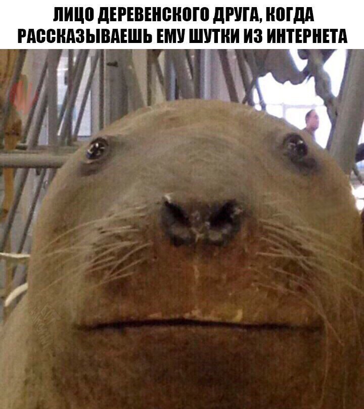 3GuAPwBYOEM.jpg