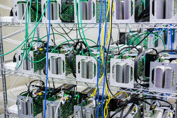Неизвестный майнер Bitcoin Cash контролирует почти 97% хэш мощности сети