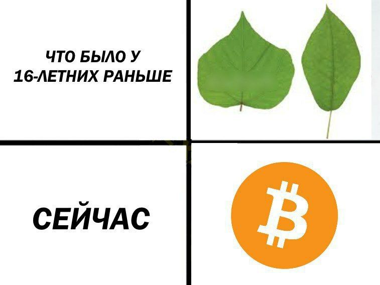 k_qeSL3Ny3Y.jpg