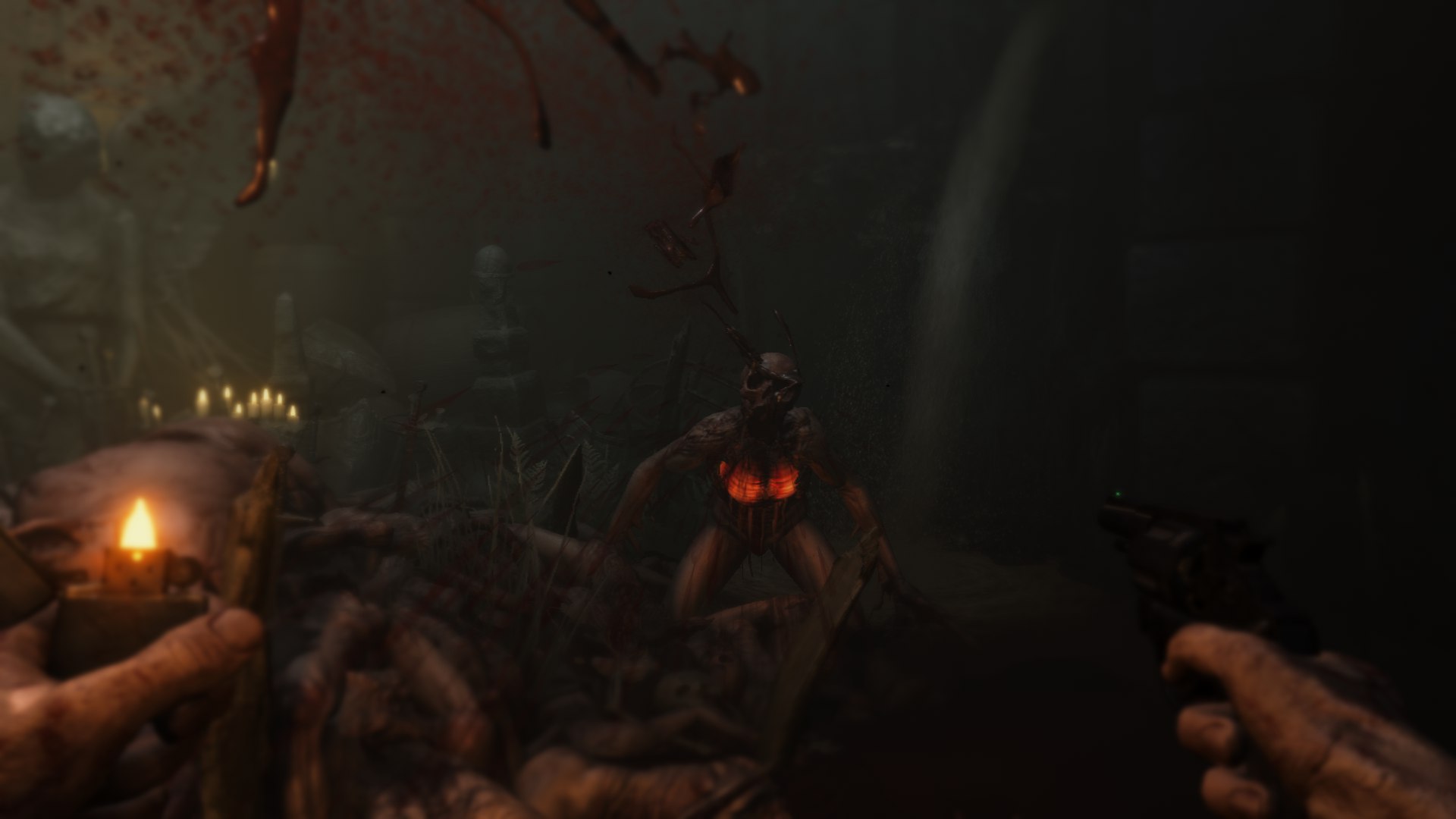 �����������