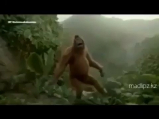 Туған күн иелеріне жібер мәз болып қалсын 😉👌