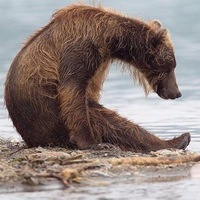 Сергей Луганцев