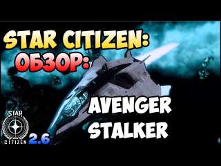 Star Citizen: Обзор: AVENGER STALKER