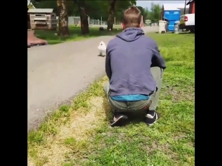 Любовь между людьми и животными