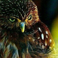 Елена Анискевич