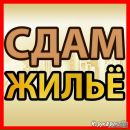 Объявление от Екатерина - фото №1