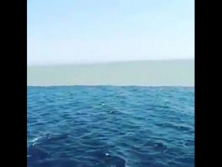 �������� �������� �������� ���������� ���� ����� - 10