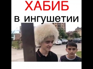Хабиб