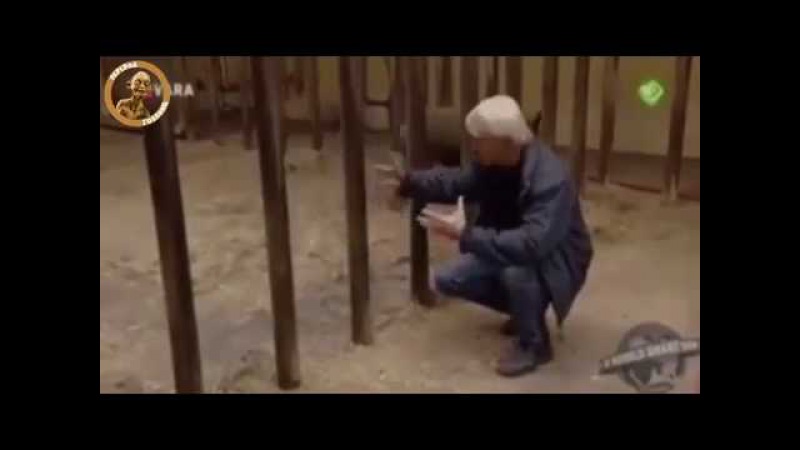 Перевод Гоблина 🐥Детеныш Носорога🦄