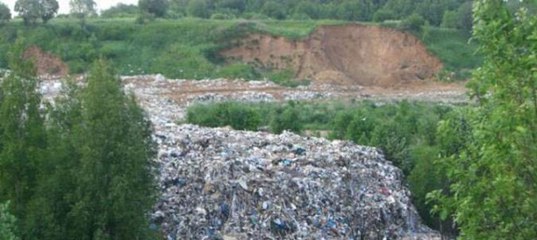 Полигон Царево Лицензия