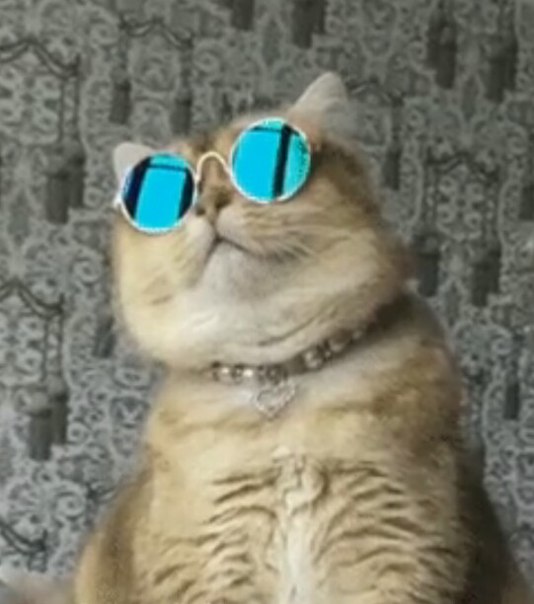 Иван Жига, Россия, Иркутск