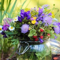 Елена Васильева