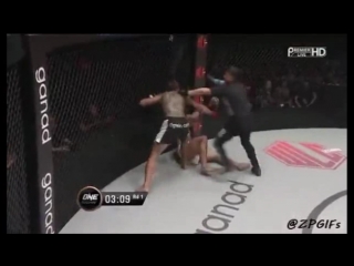 КО: Пуш-кик в лицо. ONE Championship.