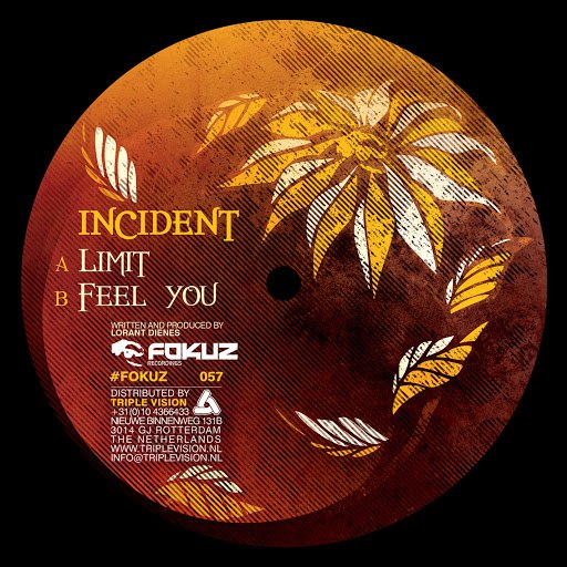 Incident альбом Limit / Feel You