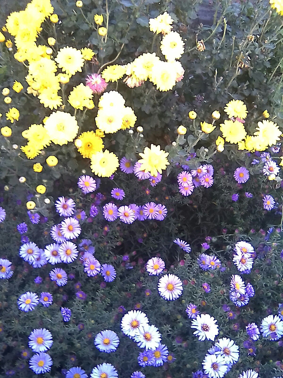 фотография из вКонтакте