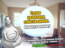 Объявление от Алёна - фото №1