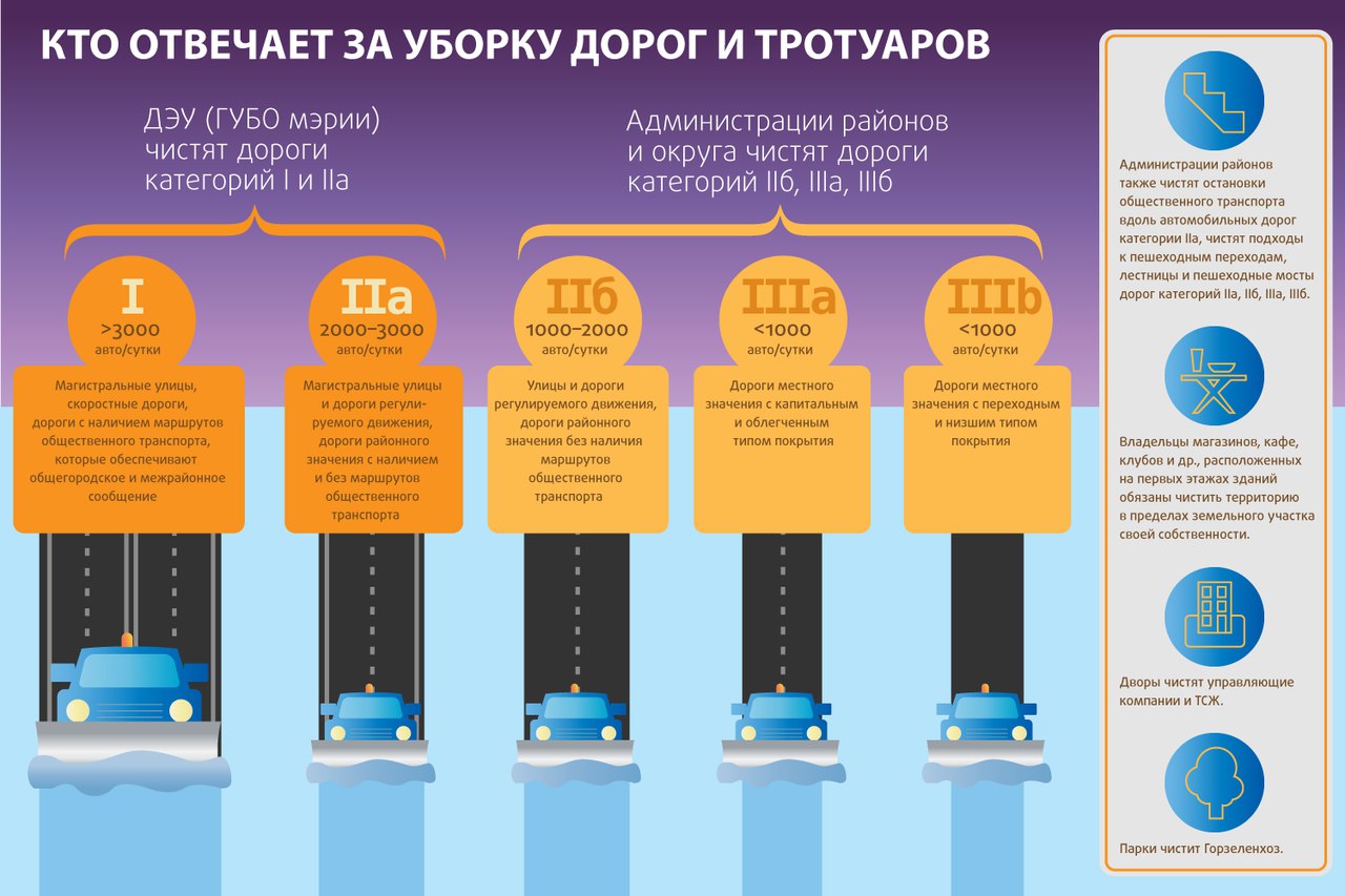 Инфографика: Новосибирские новости