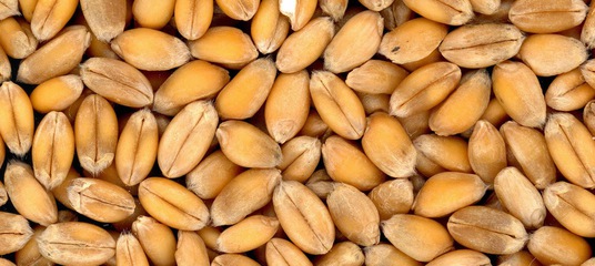 Должностная