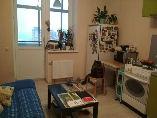 Один очень хороший человек сдаёт одну очень хорошую 1к квартиру в Коммунарке. 42кв.м. (12 кухня и 18 комната). Квартира новая, ремонт 2 года.<br>Этаж последний. 16. Так что никто сверху не топает)<br>Вид не в окна. Расположение окон удачное- вам видно все,вас практически никому). Плита с духовкой, микроволновка, стиральная машина в наличии.<br>Двуспальный диван и две односпальные кровати.Все необходимое есть. Магазины все под боком. До метро 15 мин транспортом. Или бульвар Дмитрия Ушакова или Тёплый стан.<br>Цена 25т.р. + квитанция.<br> Титова - фото Фото: Один очень хороший человек сдаёт одну очень хорошую 1к квартиру в Коммунарке. 42кв.м. (12 кухня и 18 комната). Квартира новая, ремонт 2 года.<br>Этаж последний. 16. Так что никто сверху не топает)<br>Вид не в окна. Расположение окон удачное- вам видно все,вас практически никому). Плита с духовкой, микроволновка, стиральная машина в наличии.<br>Двуспальный диван и две односпальные кровати.Все необходимое есть. Магазины все под боком. До метро 15 мин транспортом. Или бульвар Дмитрия Ушакова или Тёплый стан.<br>Цена 25т.р. + квитанция.<br> Титова