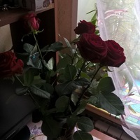 Катерина Лазарева | Москва