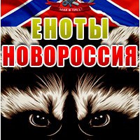 enot_novoros