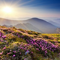 Денис Владимиров