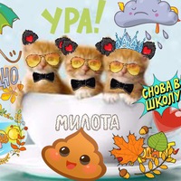 Оля Фомина | Ростов-на-Дону