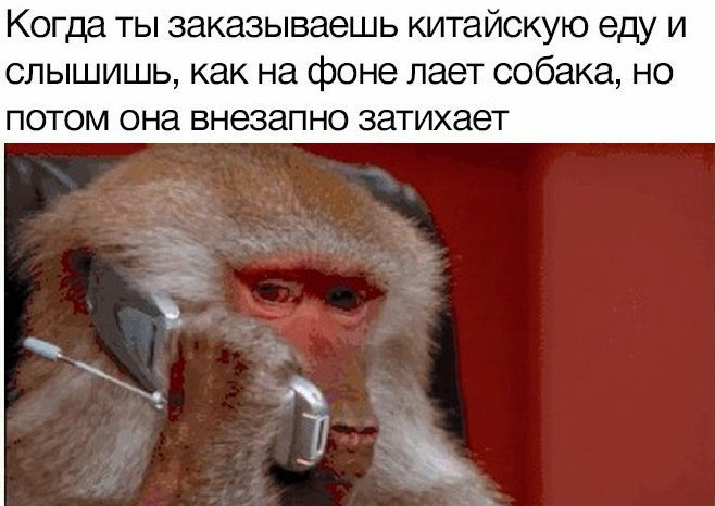 YGcIEtZw418.jpg