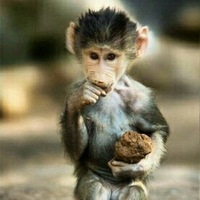 Ирина Булдыгина