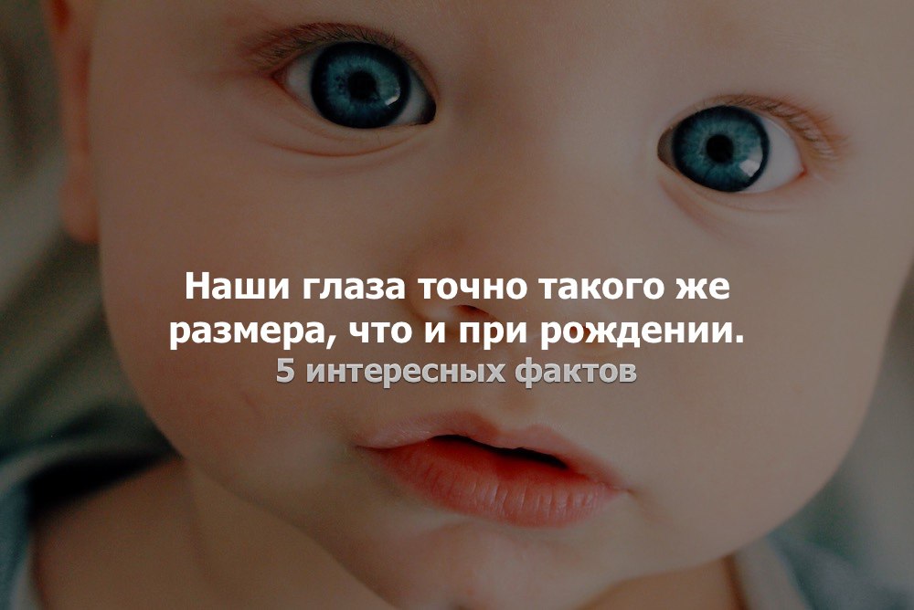 Кафе "У пани Сони"