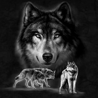 Александр Белый